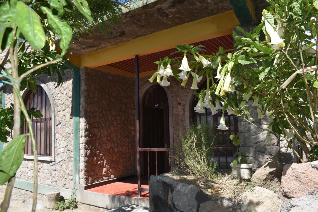 Lalibela Homestay Ngoại thất bức ảnh