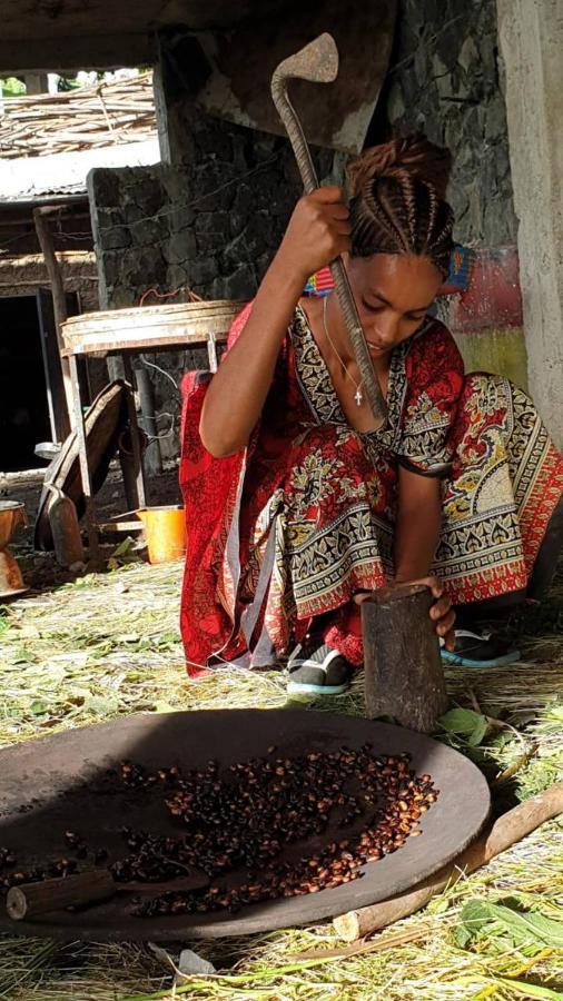 Lalibela Homestay Ngoại thất bức ảnh